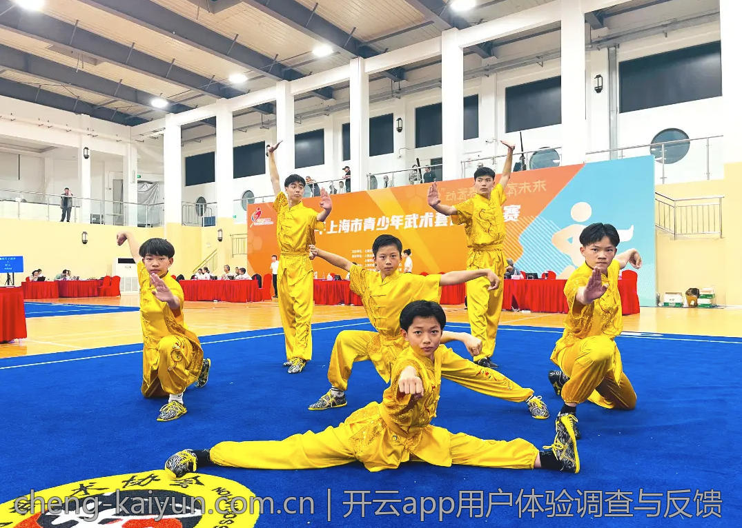 开云app用户体验调查与反馈