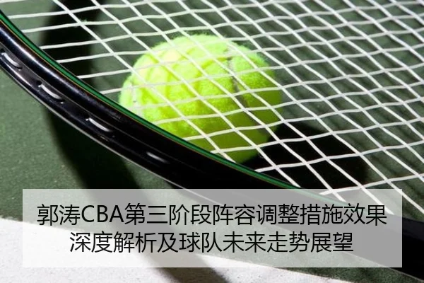 郭涛CBA第三阶段阵容调整措施效果深度解析及球队未来走势展望